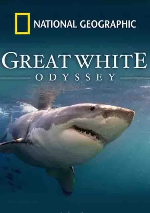 国家地理：大白鲨的长途冒险旅程